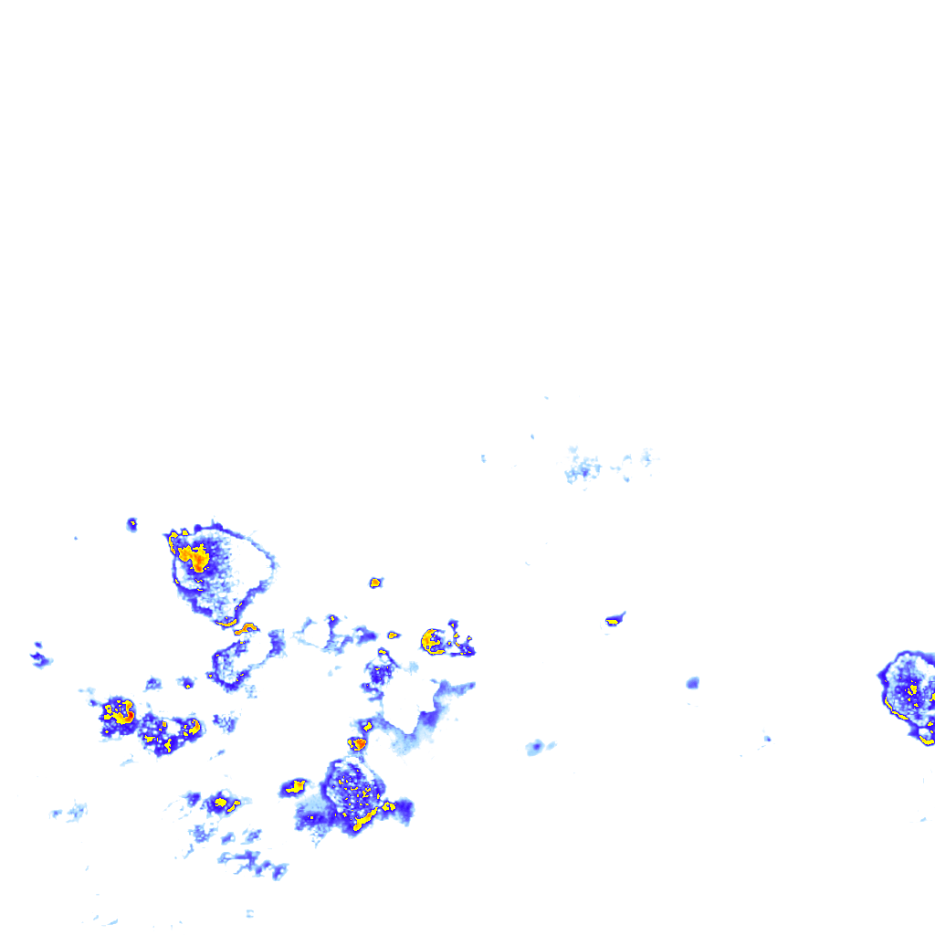 rainLayer