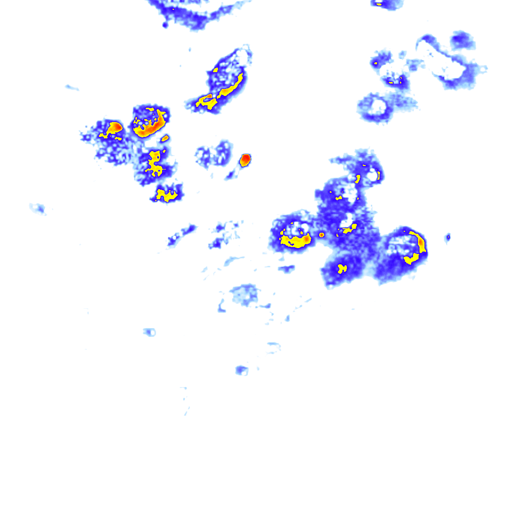 Image Layer