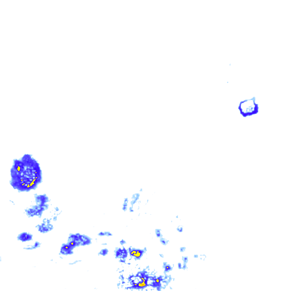 rainLayer