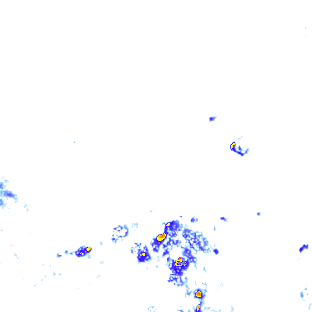 rainLayer