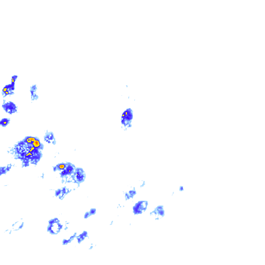 rainLayer