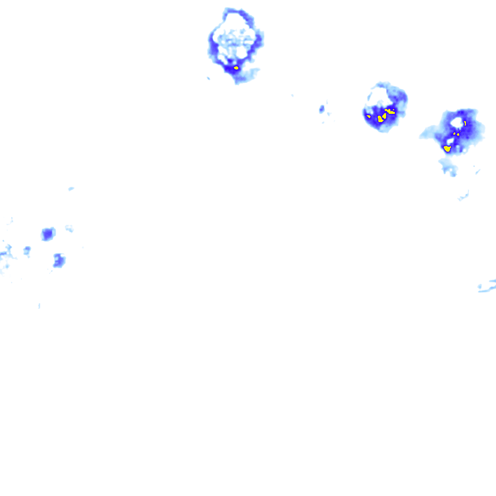 Image Layer