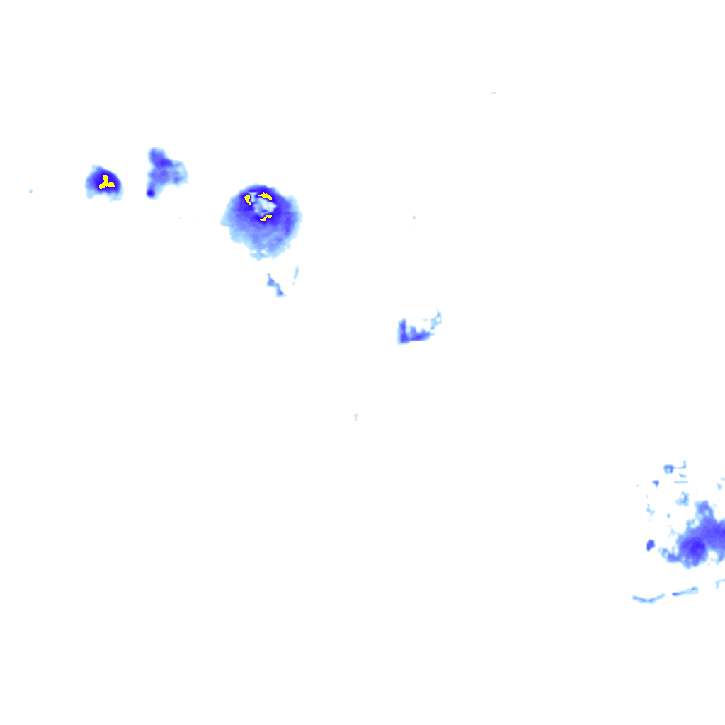 rainLayer