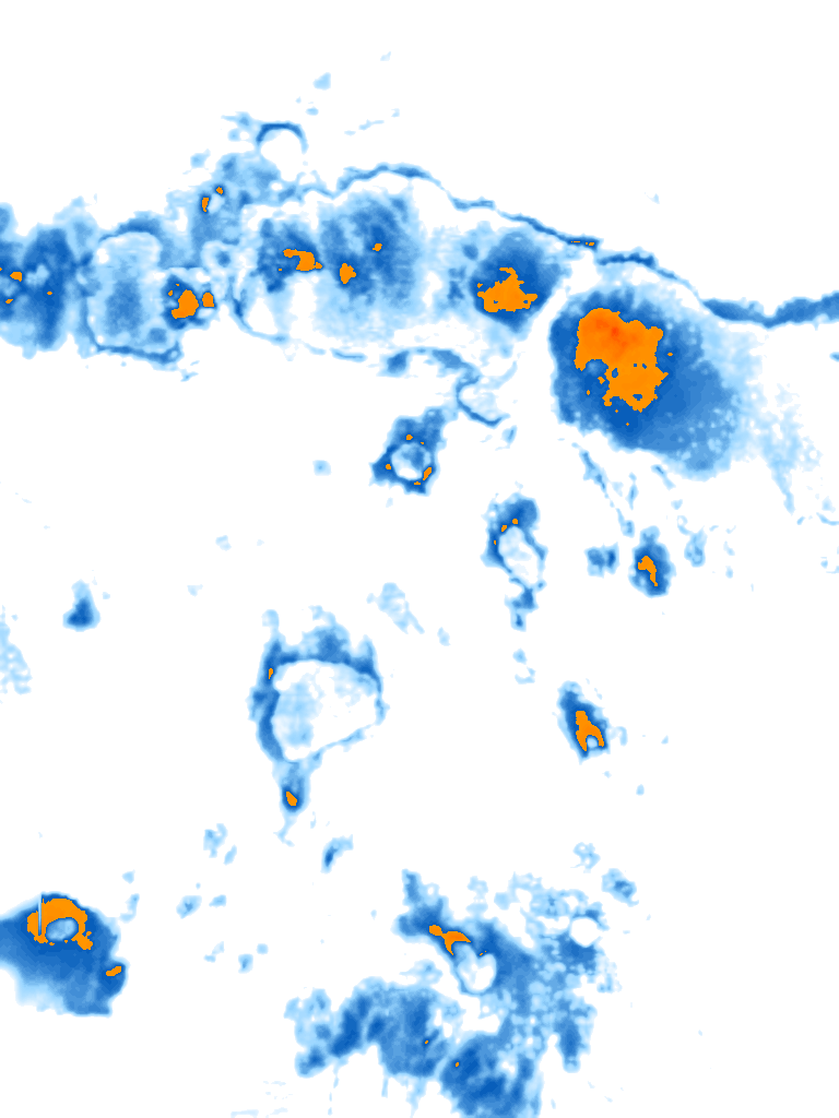 rain layer