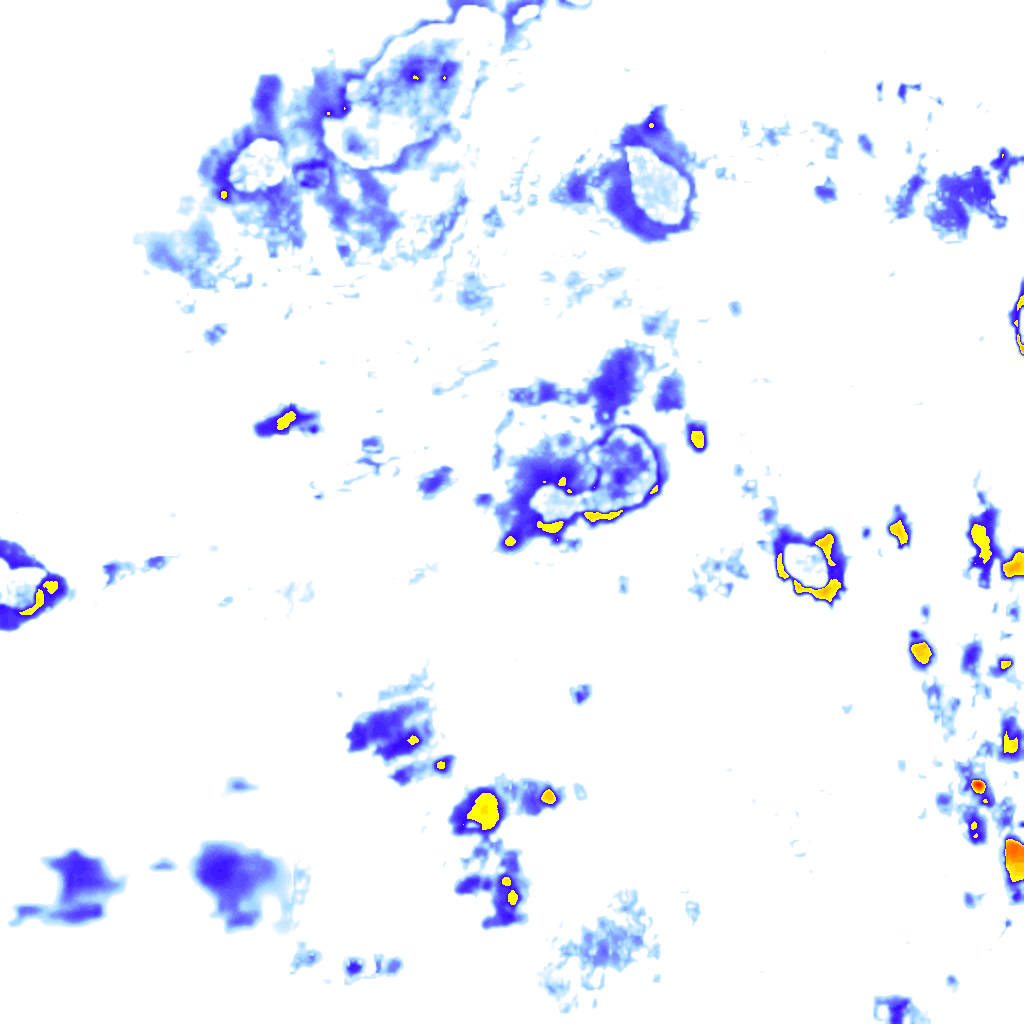 rainLayer