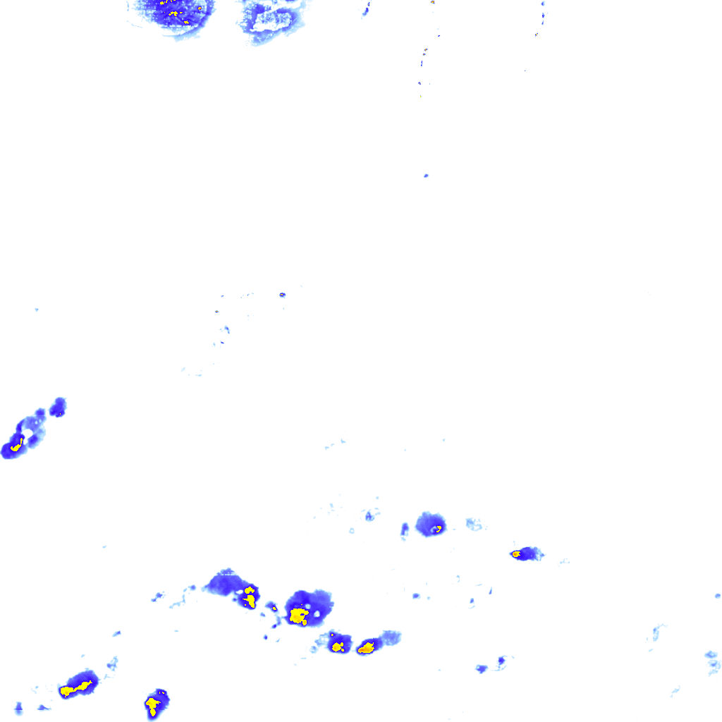 rainLayer