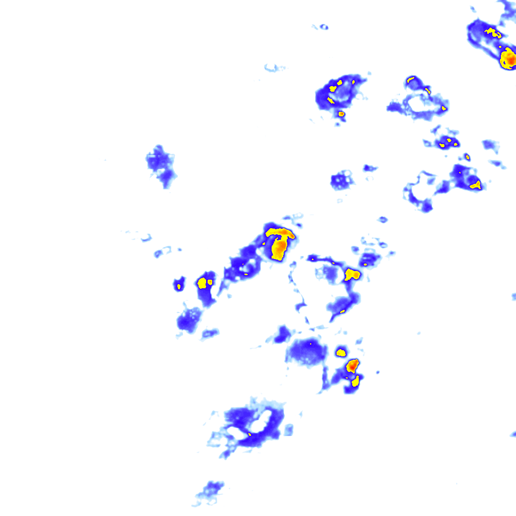 rainLayer