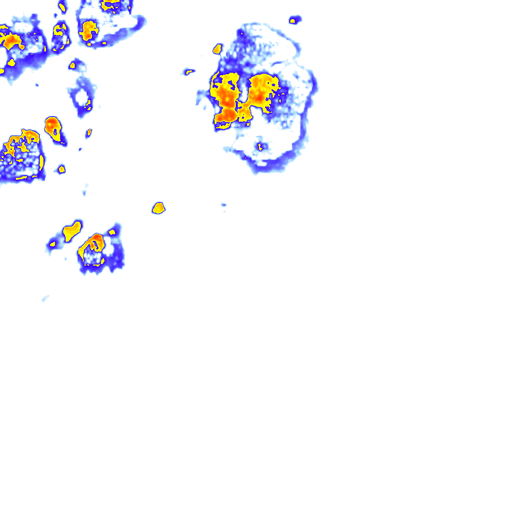 Image Layer