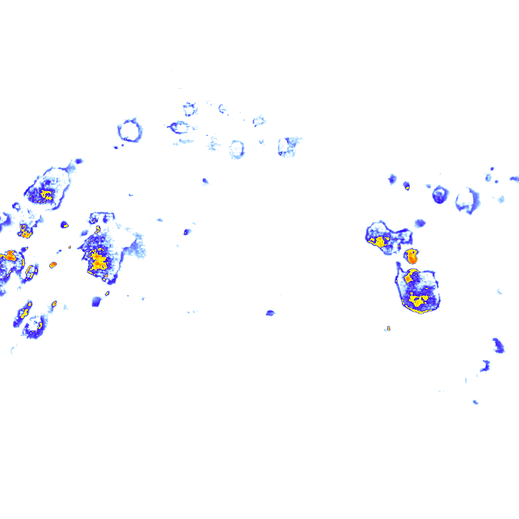 Image Layer