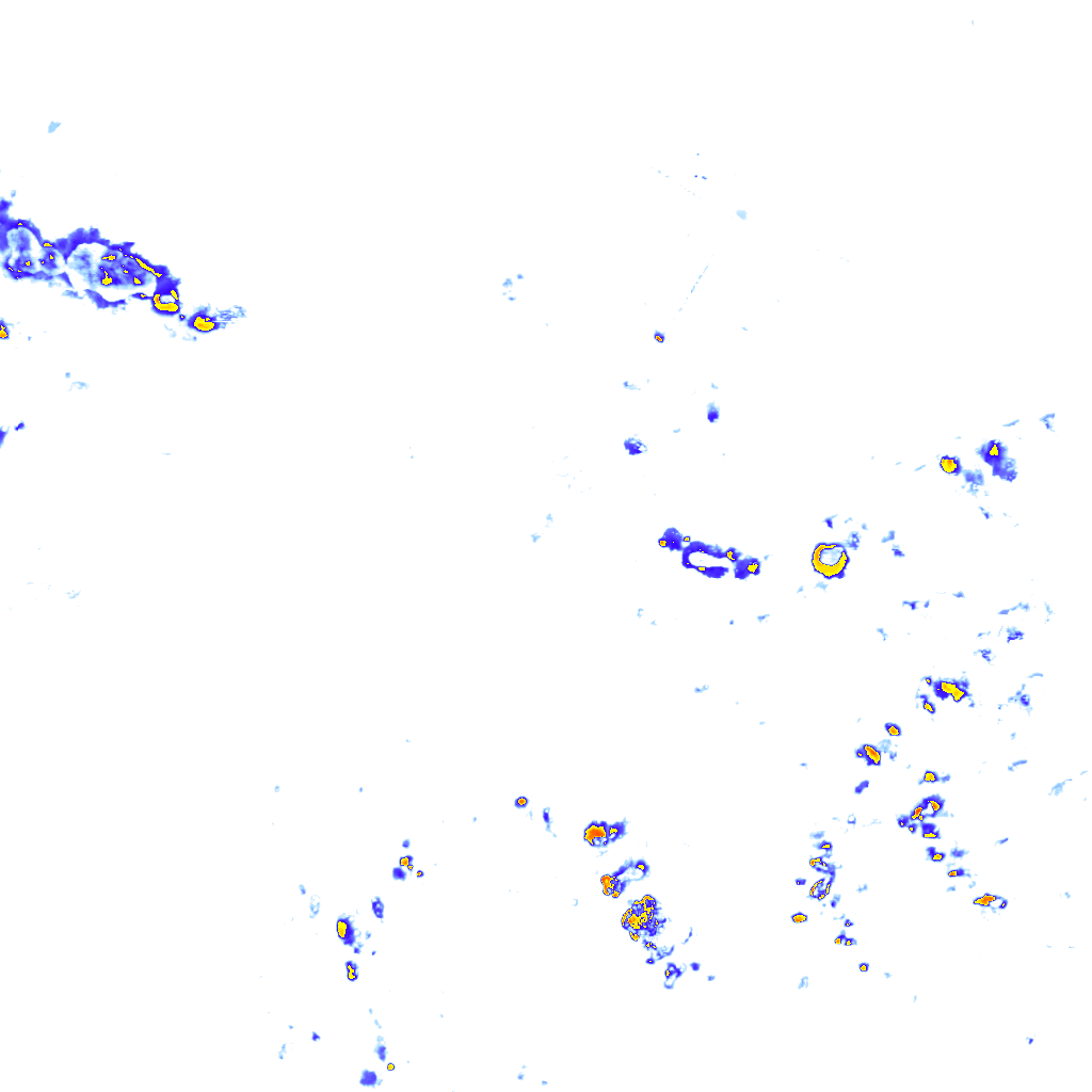 rainLayer