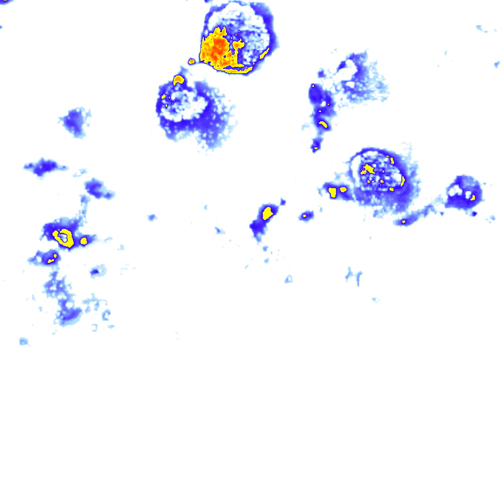 Image Layer