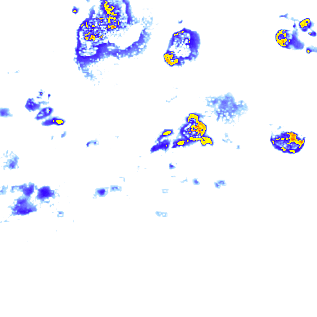 Image Layer