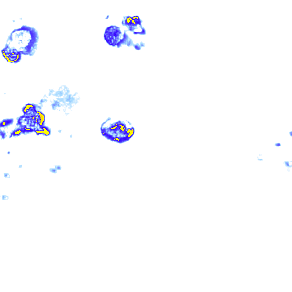 Image Layer