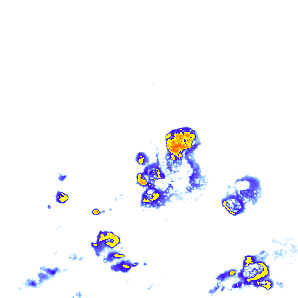 Image Layer