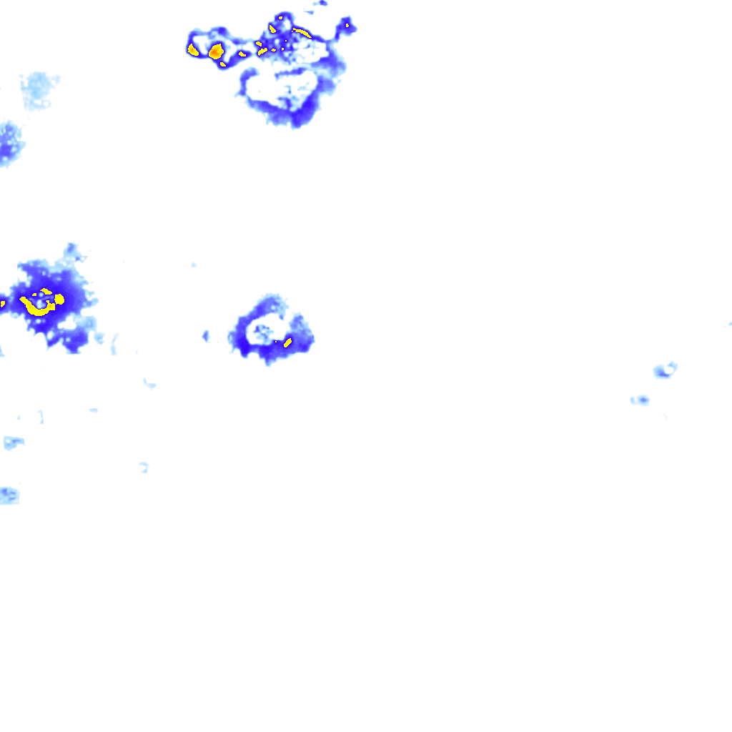 Image Layer