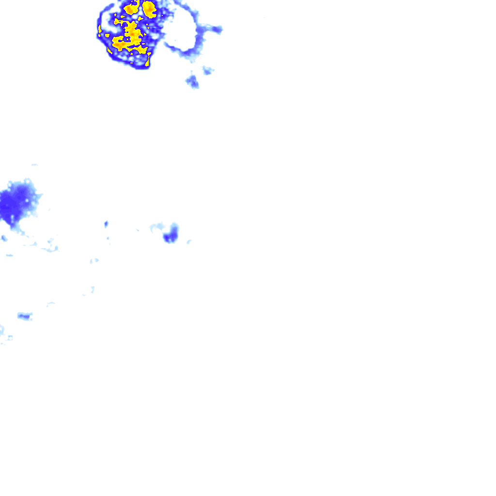 rainLayer