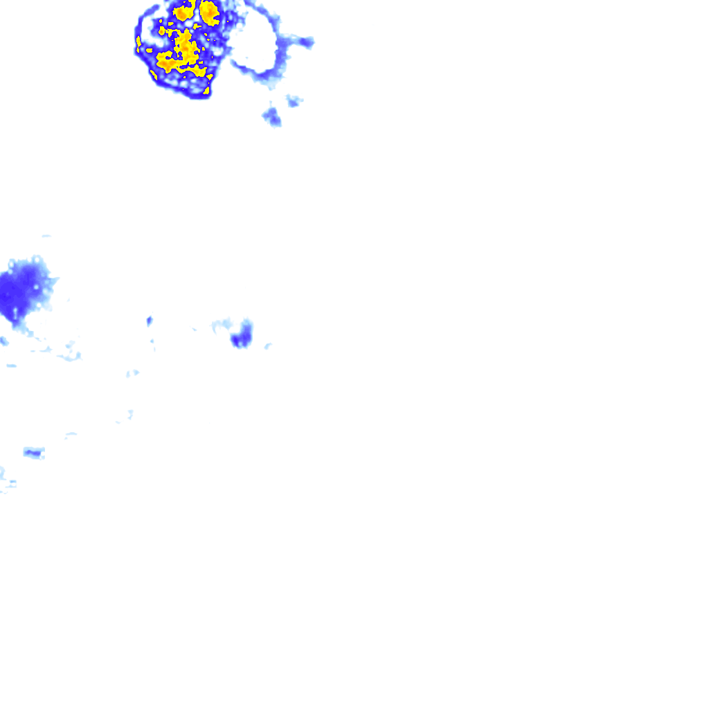 rainLayer
