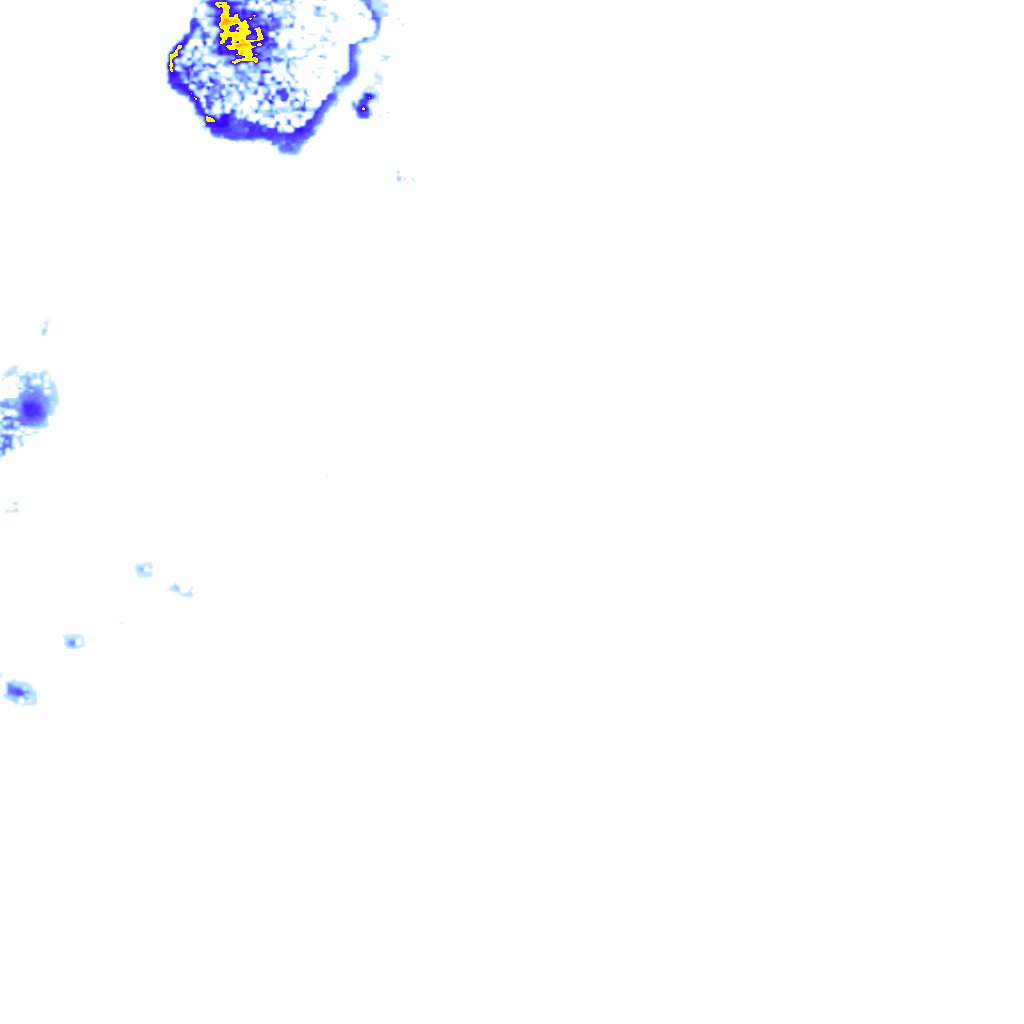 rainLayer