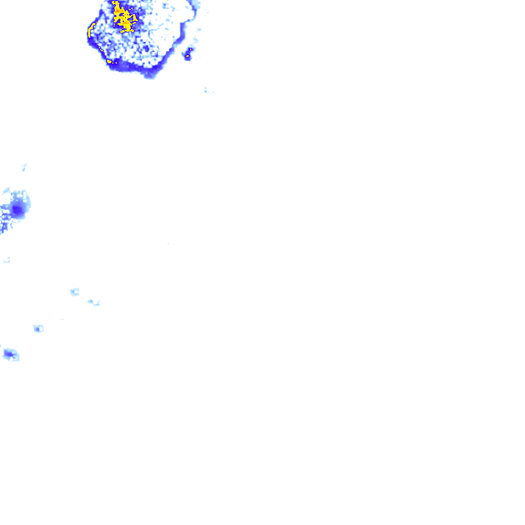 rainLayer