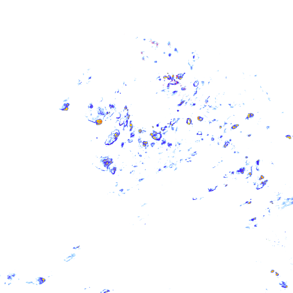 rainLayer
