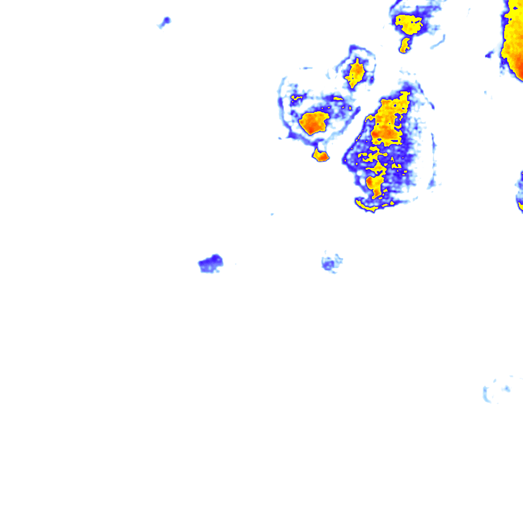 rainLayer