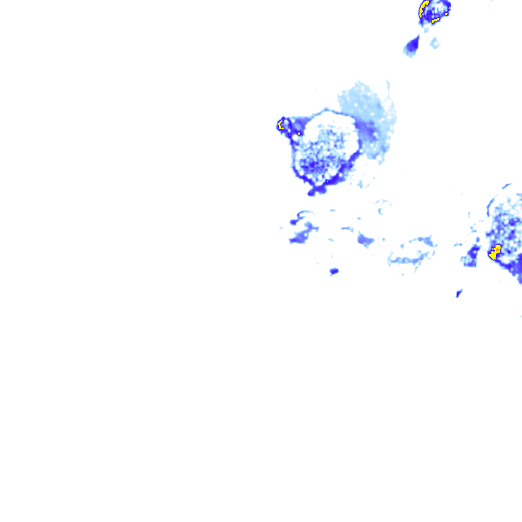 Image Layer