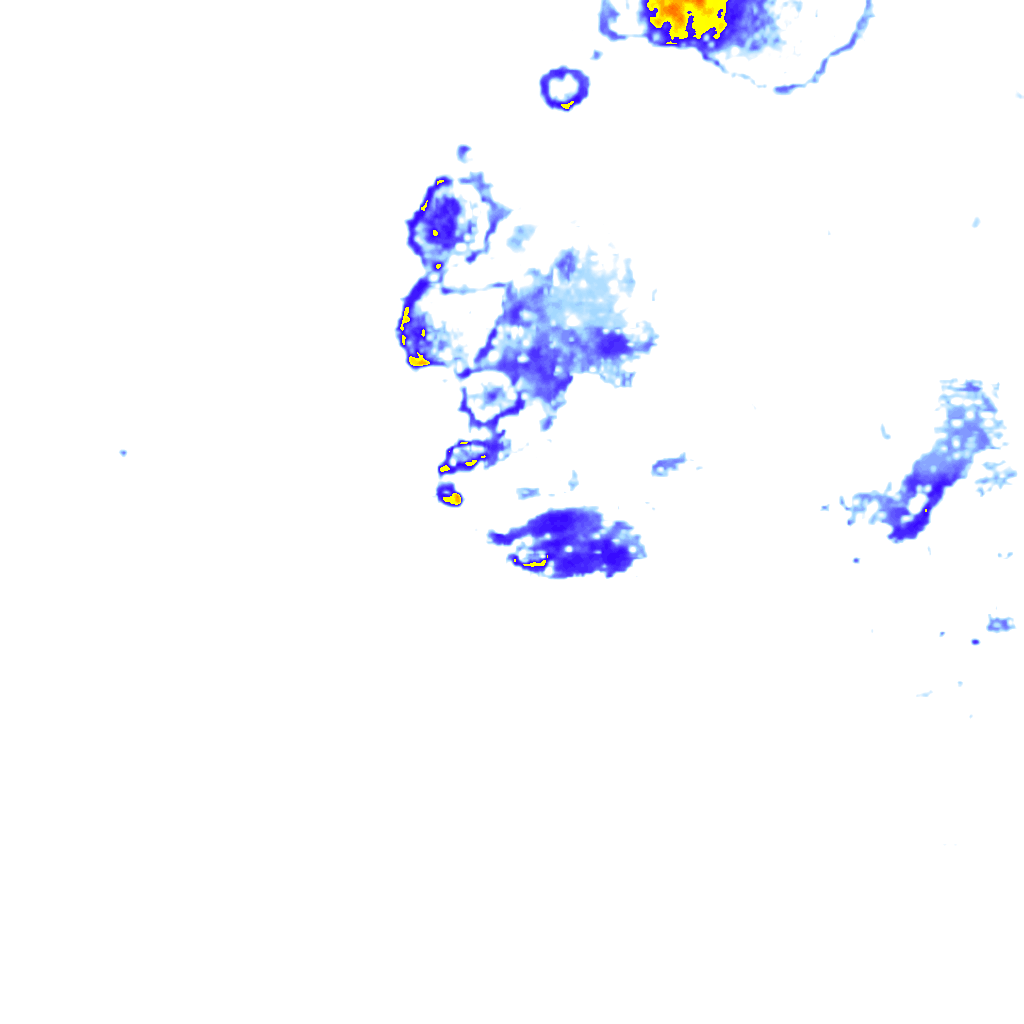 rainLayer