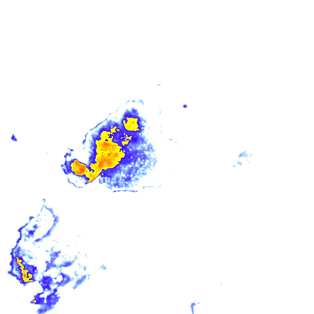 rainLayer