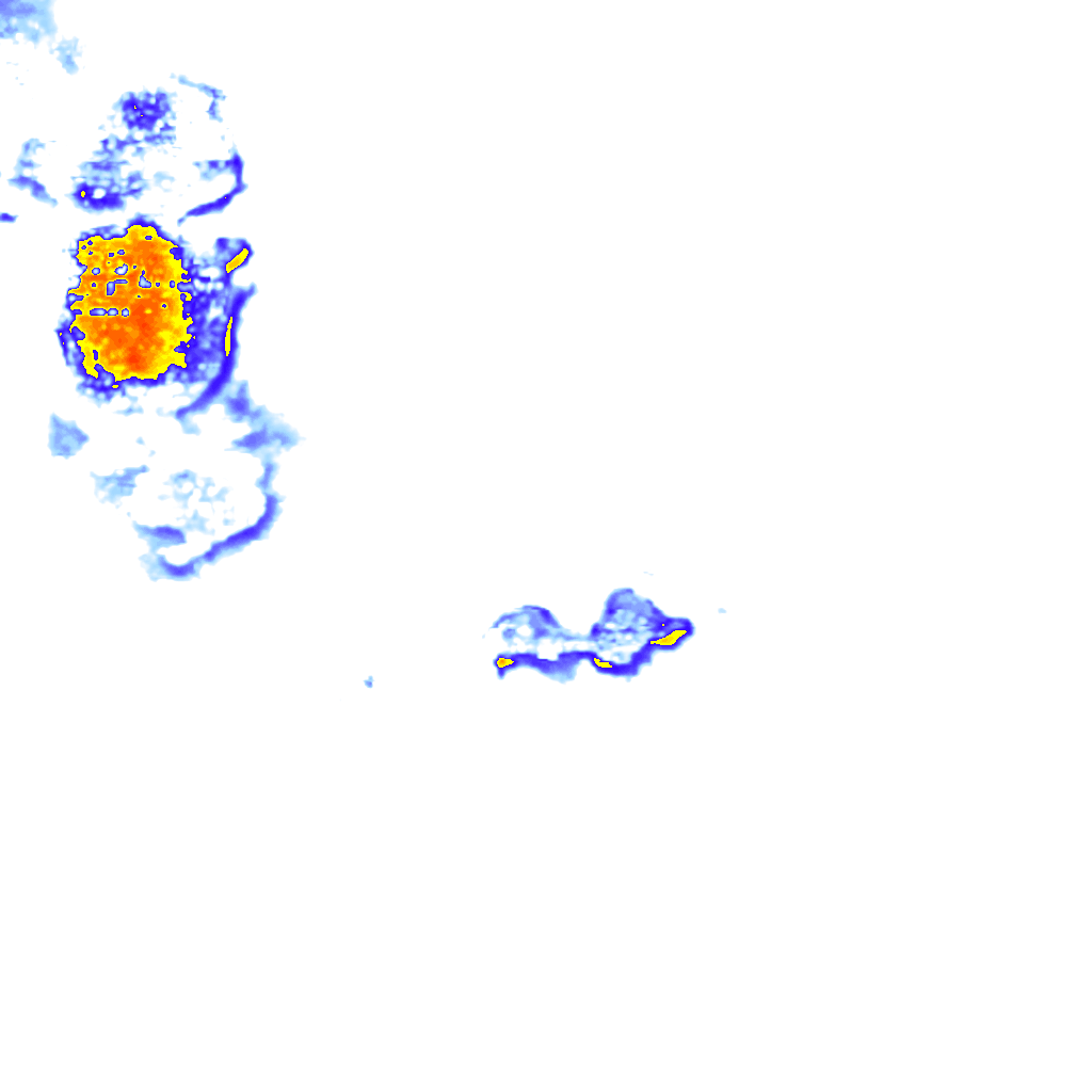Image Layer