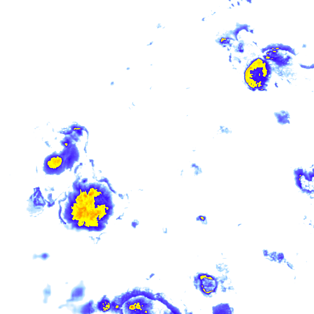 rainLayer