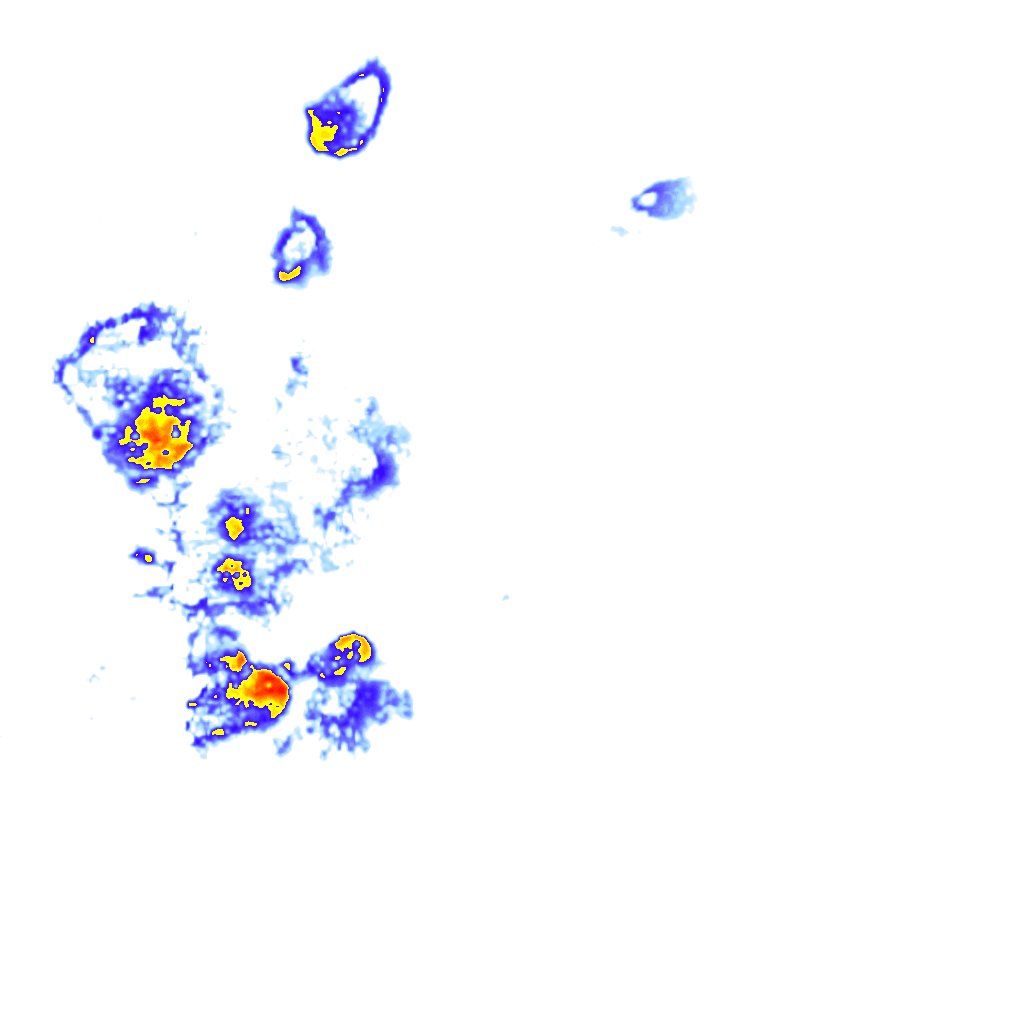 Image Layer