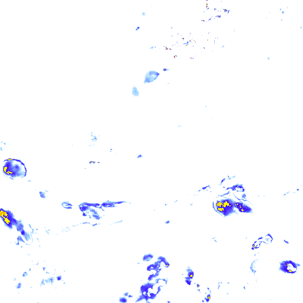 rainLayer