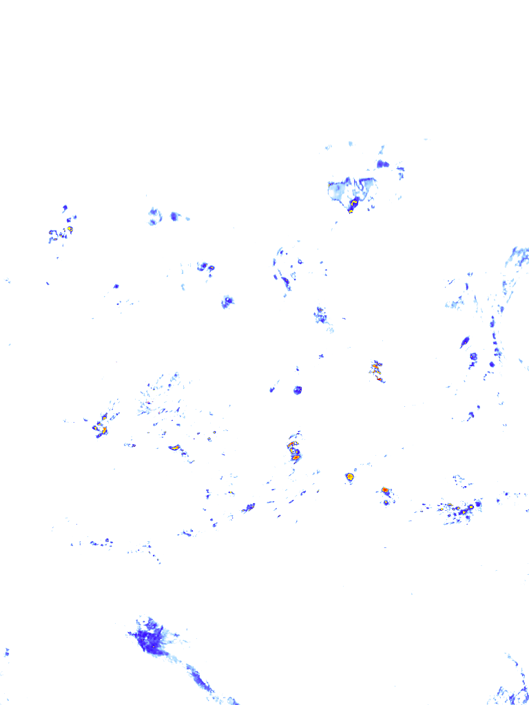 rainLayer