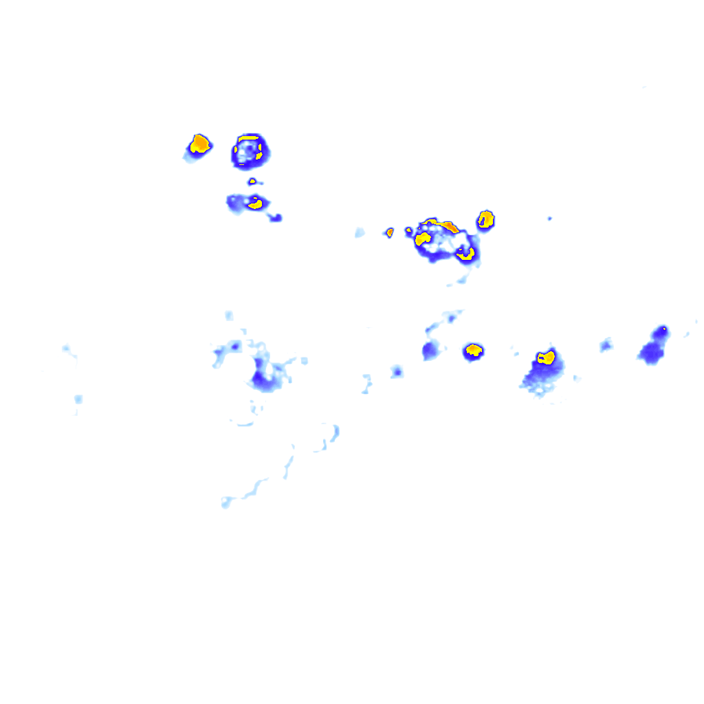 rainLayer