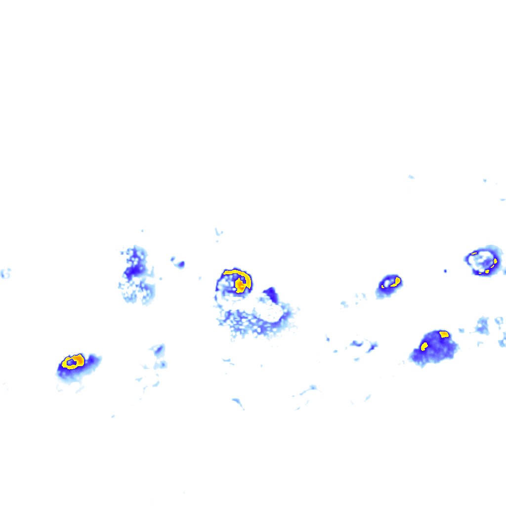 Image Layer