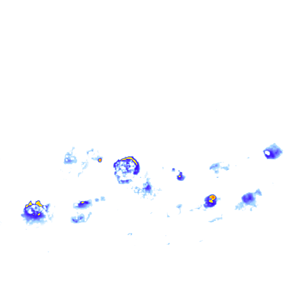rainLayer