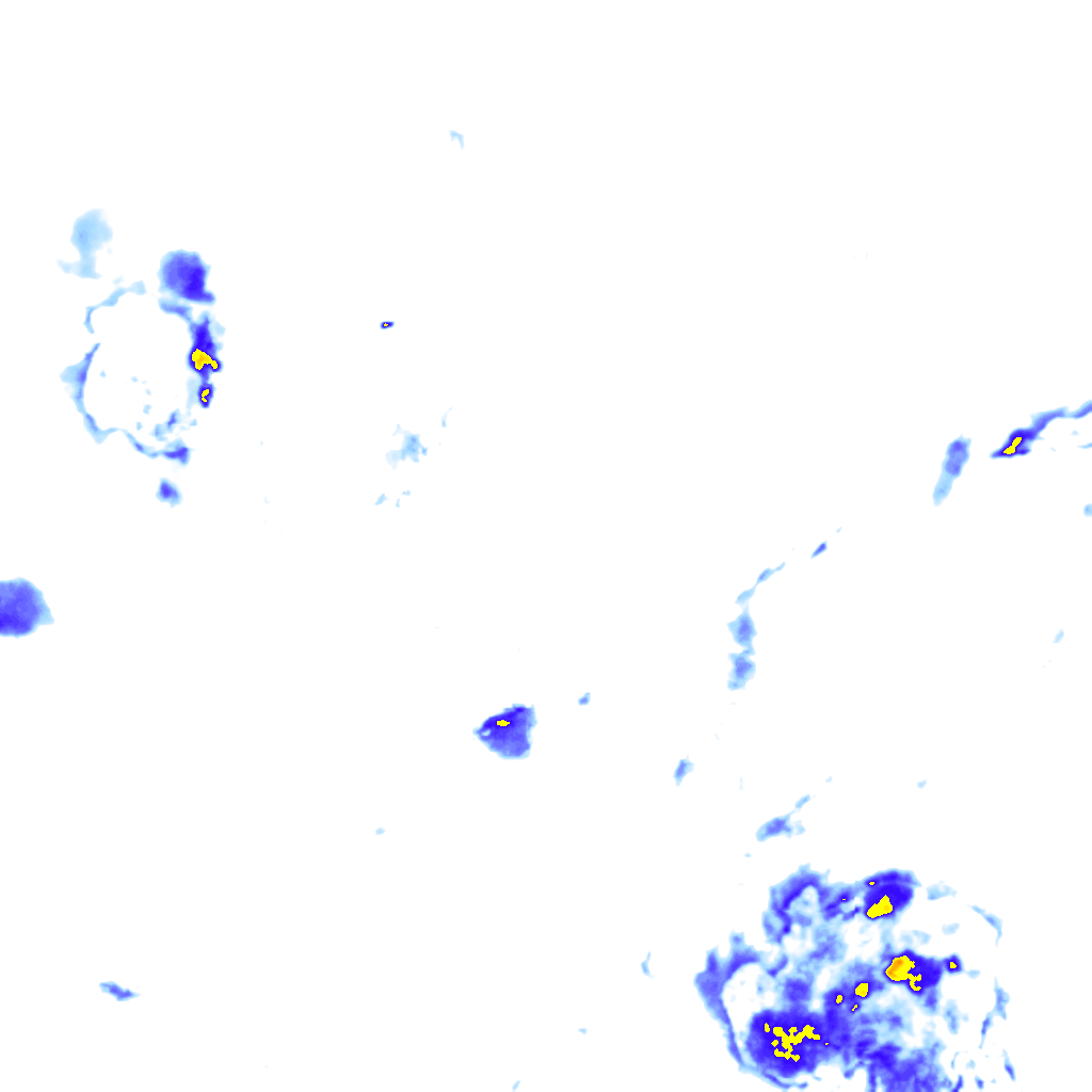rainLayer