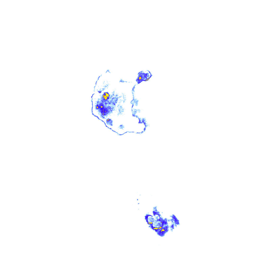 Image Layer