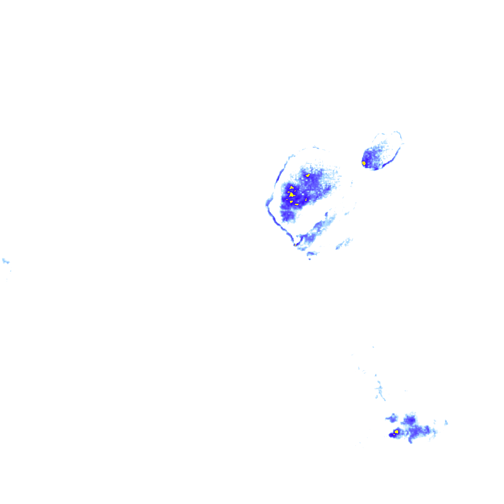 rainLayer