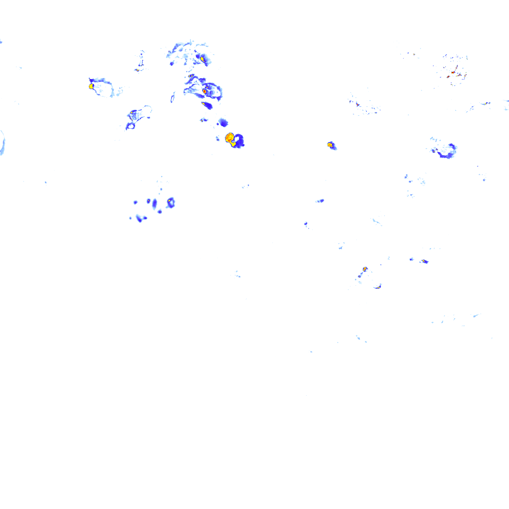 rainLayer