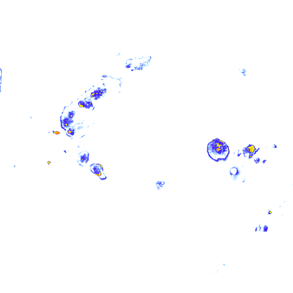 rainLayer