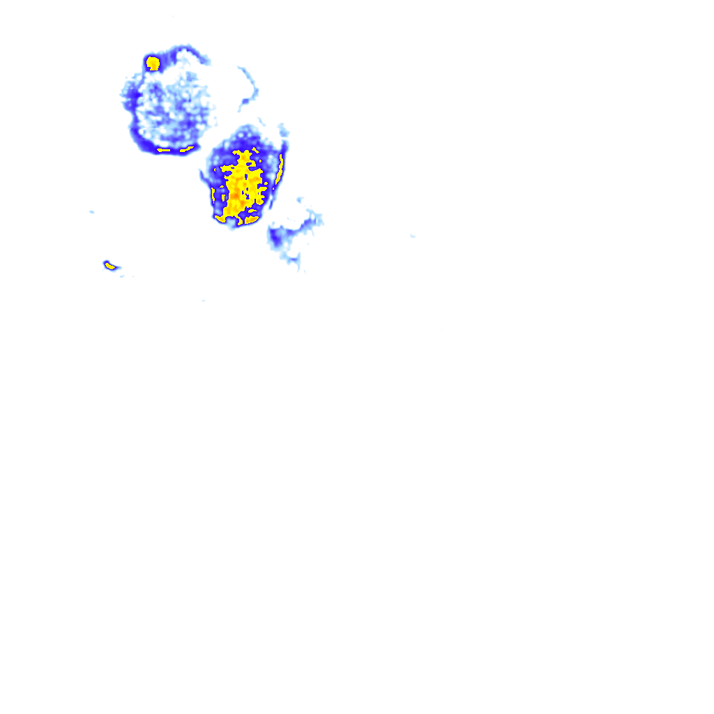 rainLayer