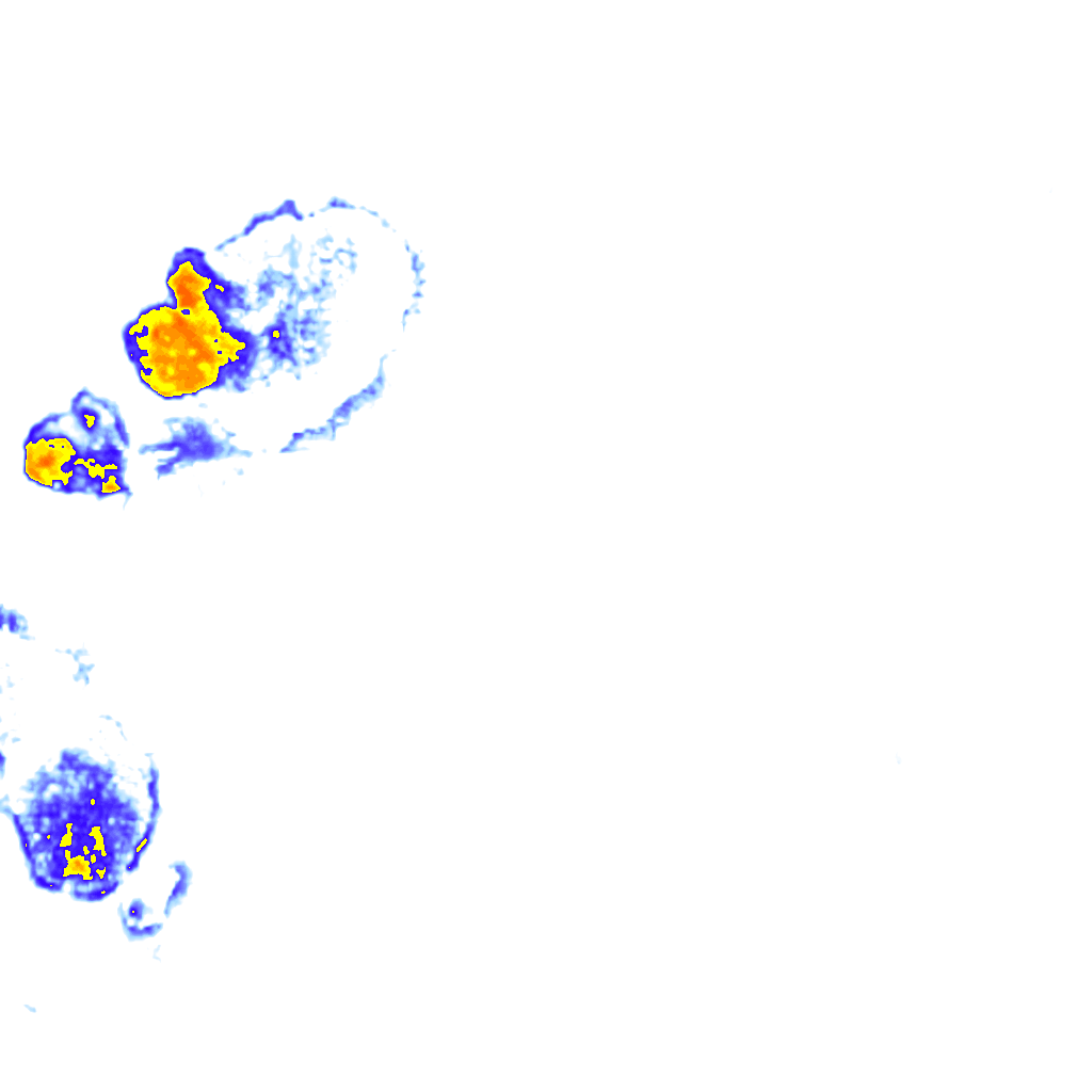 Image Layer