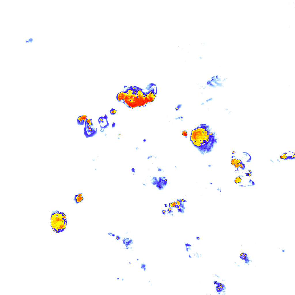 Image Layer