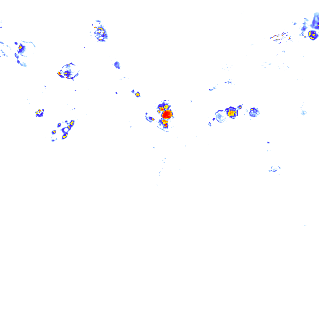 Image Layer