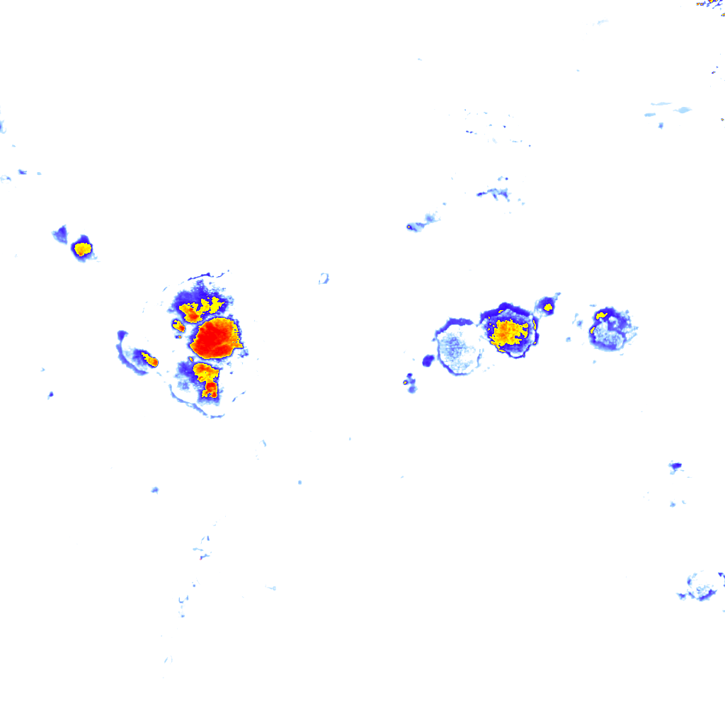 Image Layer