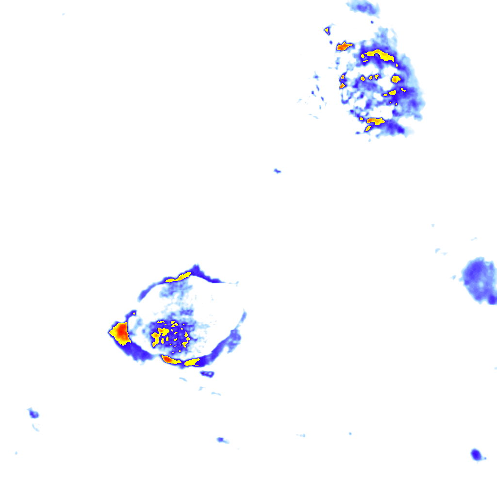 rainLayer