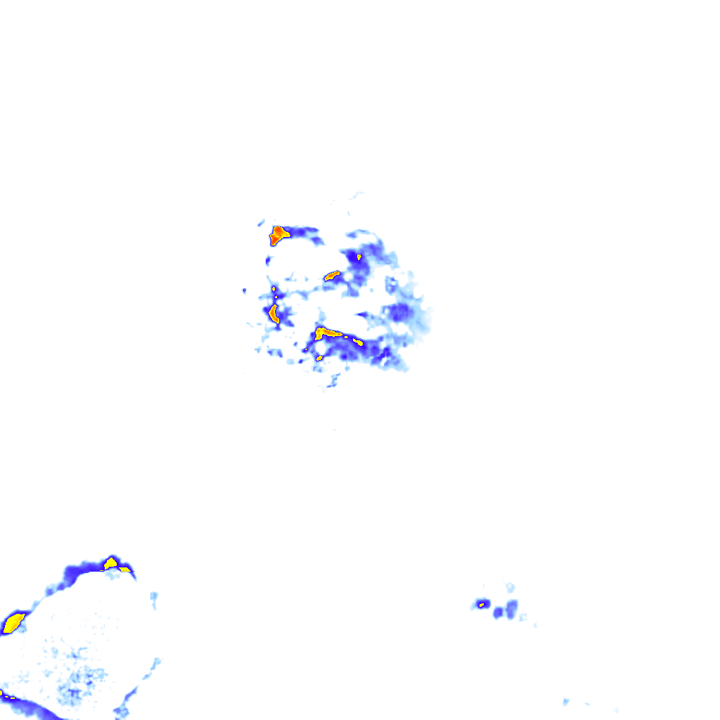 rainLayer