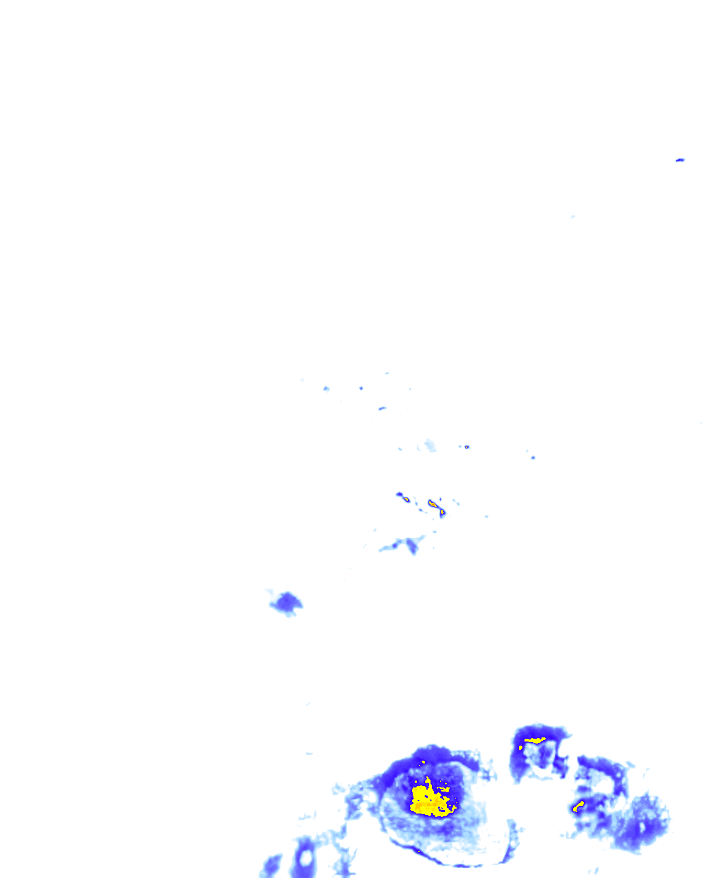 rainLayer