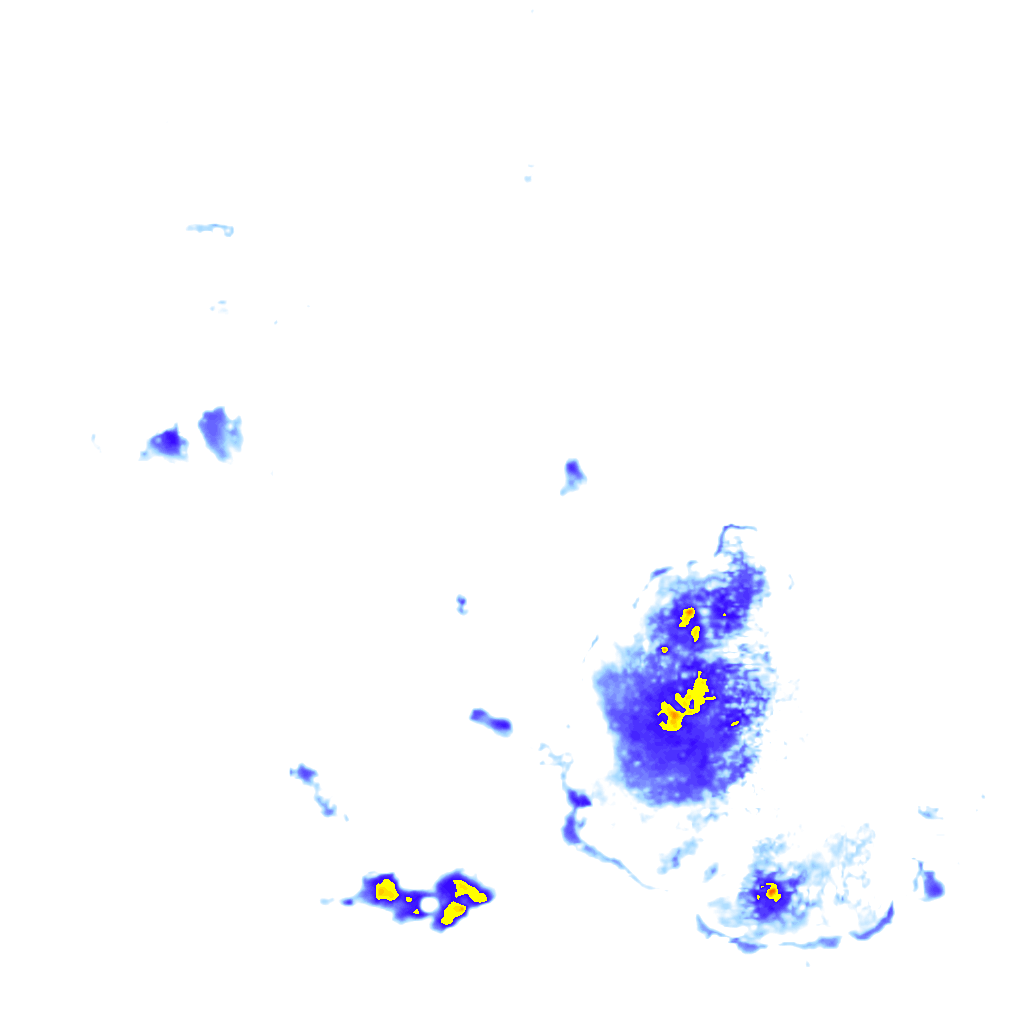 rainLayer